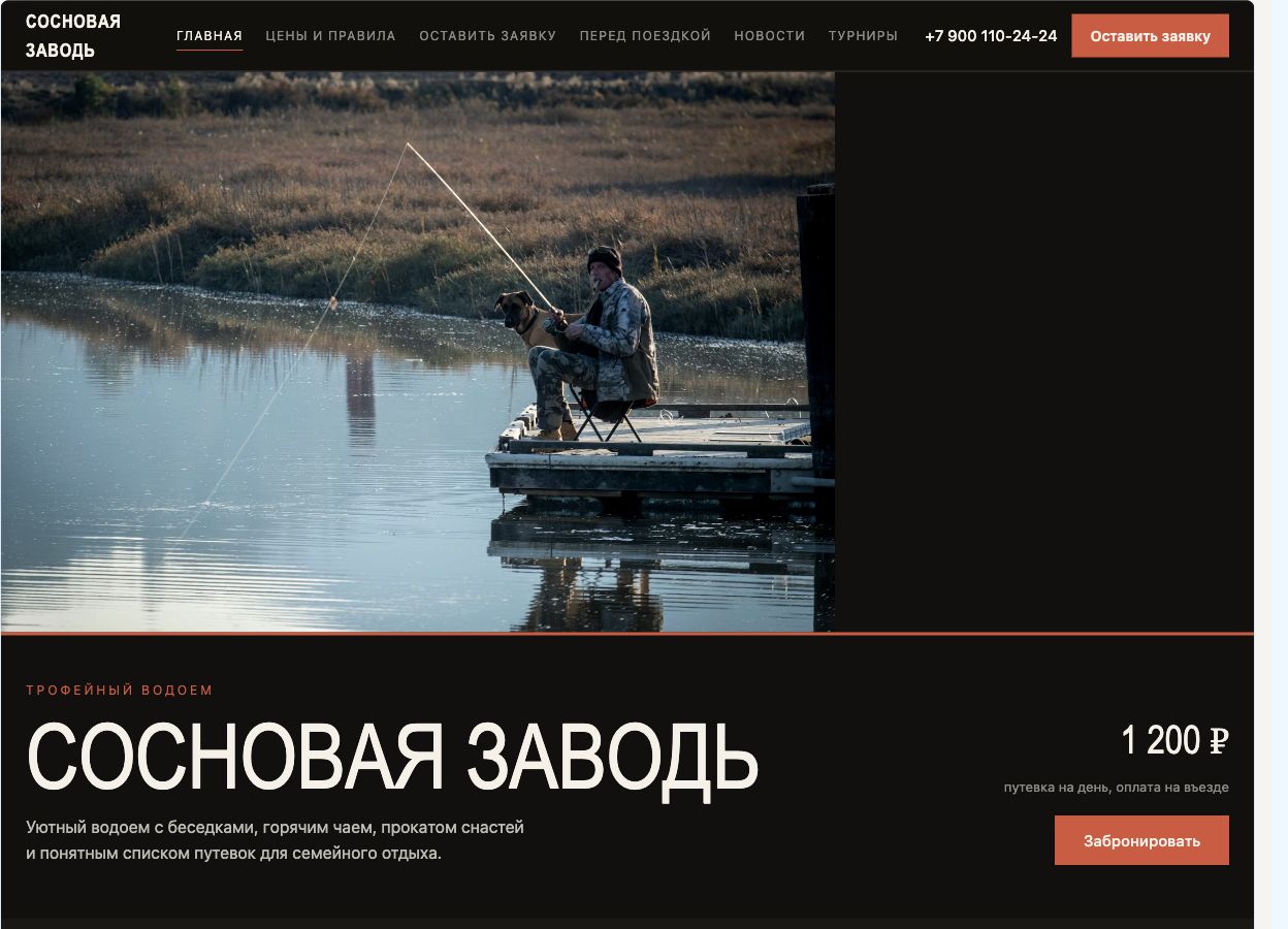 Шаблон 3